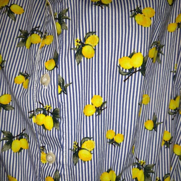 Chloe & Rene Blue Pinstripe Sleeveless Shirt Dress XL Lemon Print Cotton Belted - Picture 5 of 16